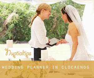 Wedding Planner in Clocaenog