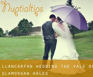 Llancarfan wedding (The Vale of Glamorgan, Wales)